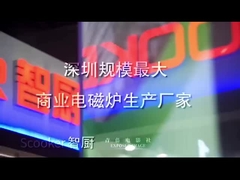 कंपनी का परिचय